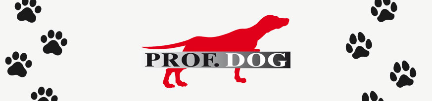 Prof. Dog Banner - Logo
