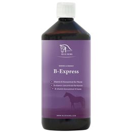 Blue Hors B-Express 1ltr. - B-vitamin til heste - fragt Hurtig levering og gratis fragt v/500,- |