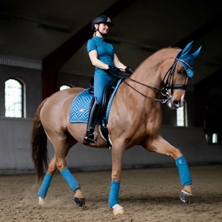 Equestrian Stockholm Amalfi blå fleecebandager hest rides med