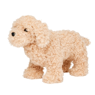 Lemieux "Toy Puppy" cockapoo - Chester 