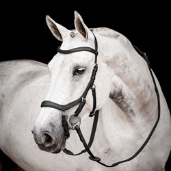 Rambo Micklem 2 Competition Bridle - sort