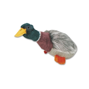 Migrator Mallard 