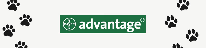 Advantage Banner - Logo