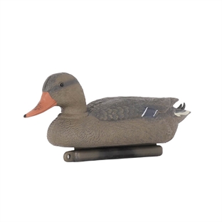 Alces Gråand hun solo