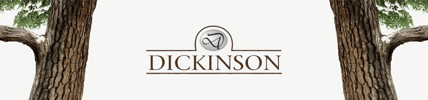 Dickinson Banner - Logo