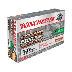 Winchester Extreme point copper 243 win, 5,5 g