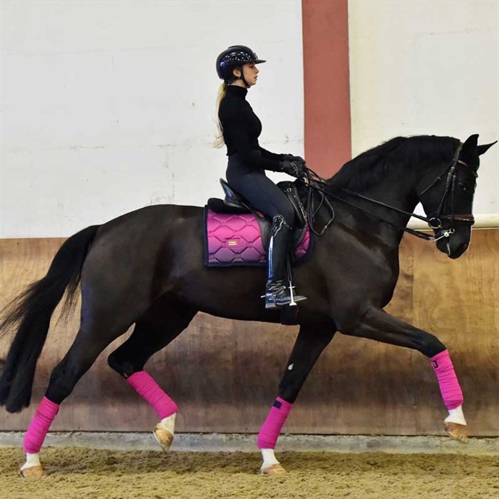 Faded Fuchsia underlag fra Equestrian Stockholm på hest der bliver redet