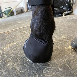 Equine LTS Hoof Boot - klokke