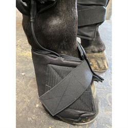 Equine LTS Hoof Boot - klokke