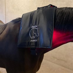 Equine LTS R-Series Mini Pro