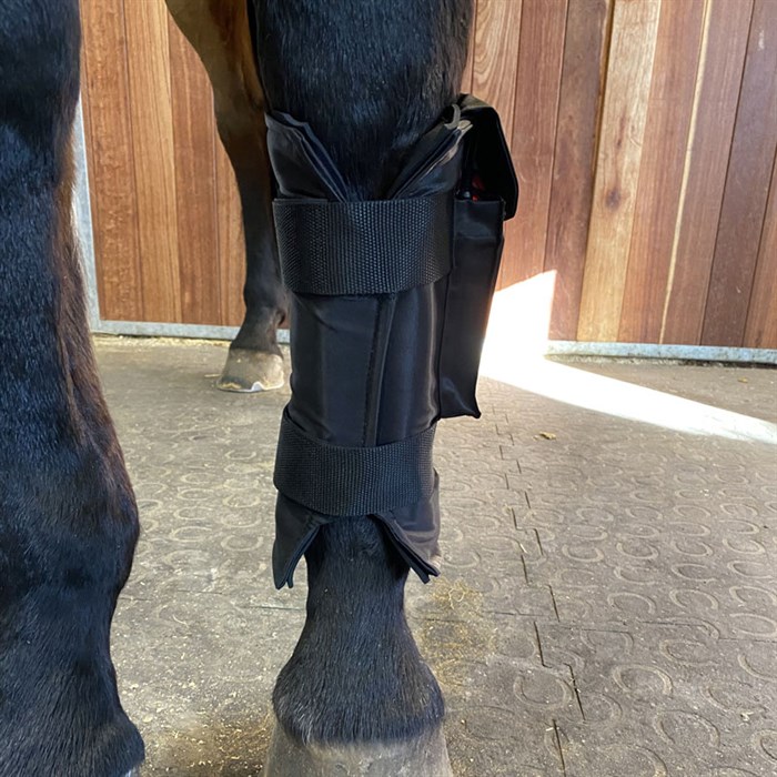 Equine LTS Leg Wrap
