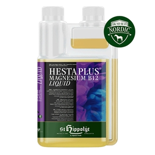 St. Hippolyt HestaPlus Magnesium B12 LIQUID, 1 liter
