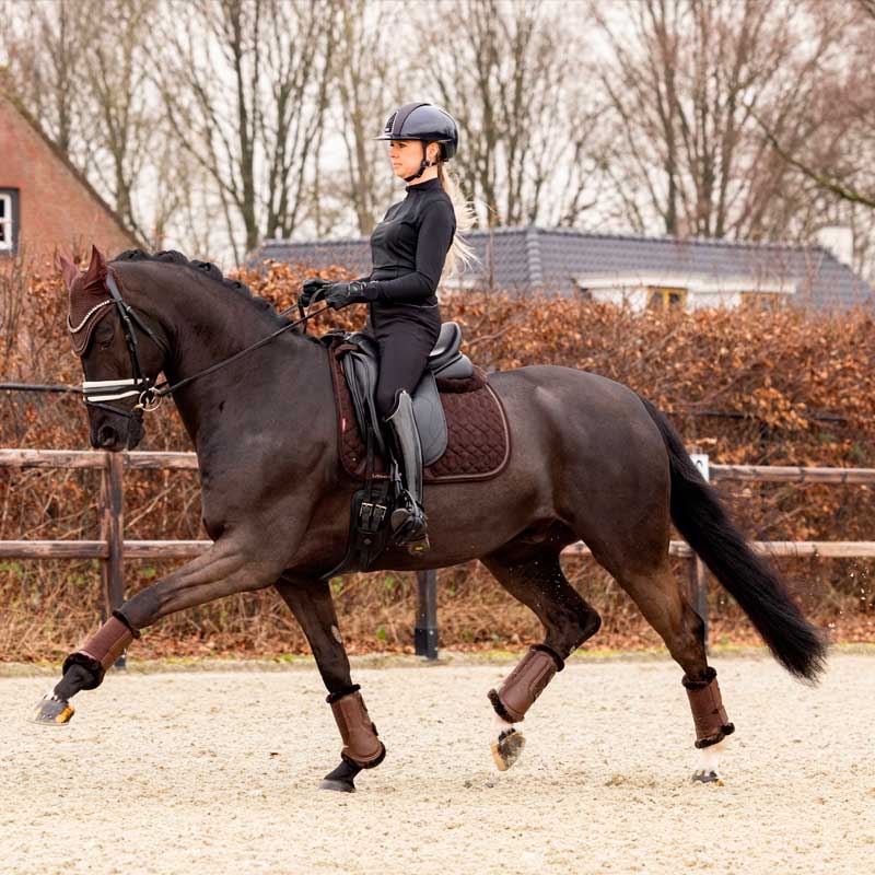 Hest rider med brunt lemieux underlag 