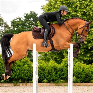 Lemieux spring crystal underlag brun på hest med rytter