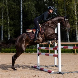 Equestrian Stockholm underlag "Mahogany Glimmer"