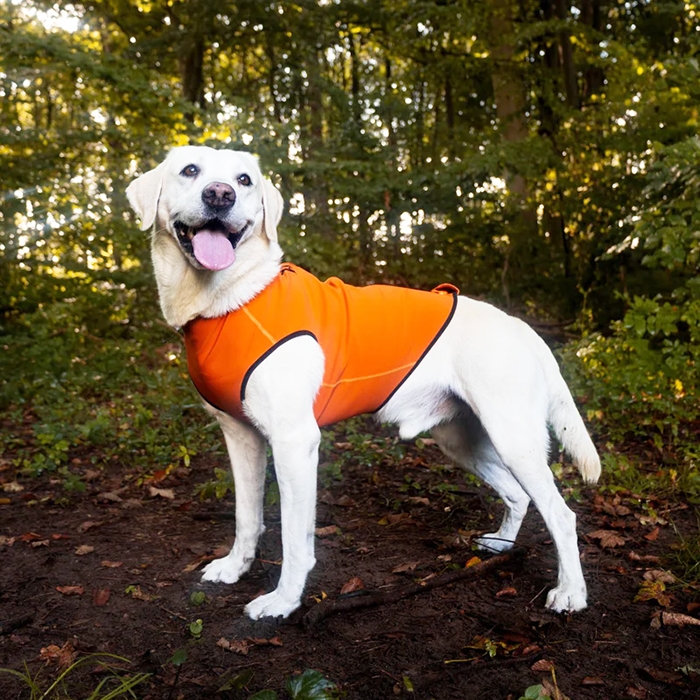 Siccaro Pro-tect Pro vest til mellemstore og store jagthund stor hund