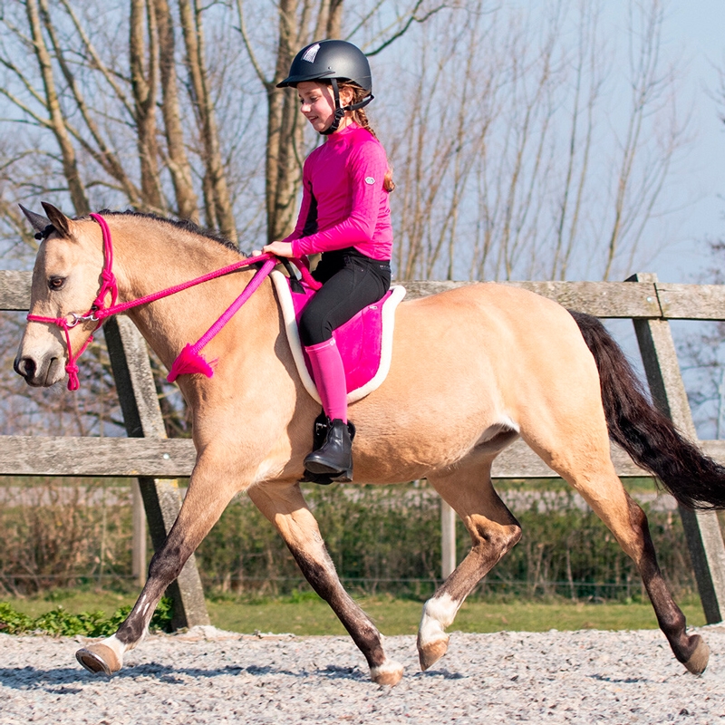 QHP Bareback Pad - sort/natur