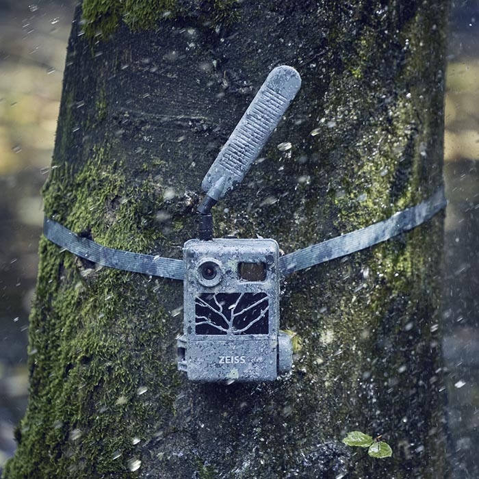 Zeiss Secacam 3 Bundle: Opdag Naturens Hemmeligheder monteret på træ