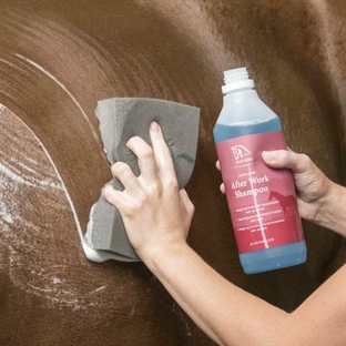 After Work shampoo fra Blue Hors smøres på hest