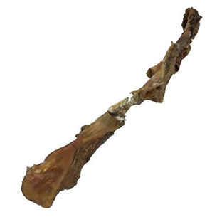 Naturlig Oksepandelap til Hund - 65-70 cm