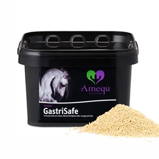 Dangro Amequ GastriSafe (fhv. Lecitin) 1,5 kg.