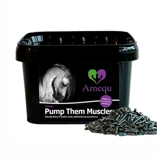 Dangro Amequ Pump Them Muscles (Spirulina Pellets) 1 kg.