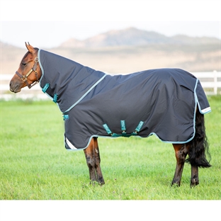 Horseware Amigo Bravo 12 Plus Medium 250g. - navy/aqua/turquoise