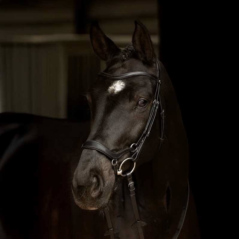 LeMieux trense "Arika Drop" - sort