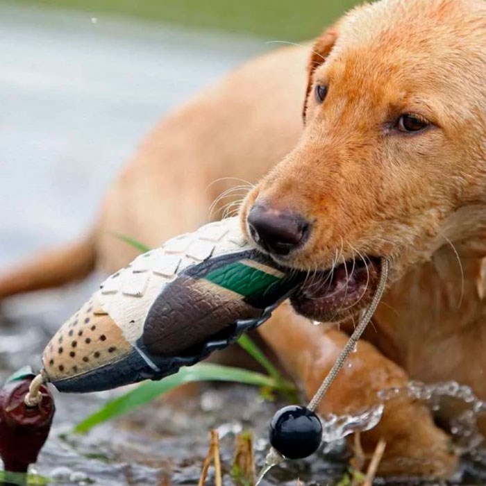 Avery Sporting Dog dummy – Krikand - Køb hos Lundemøllen