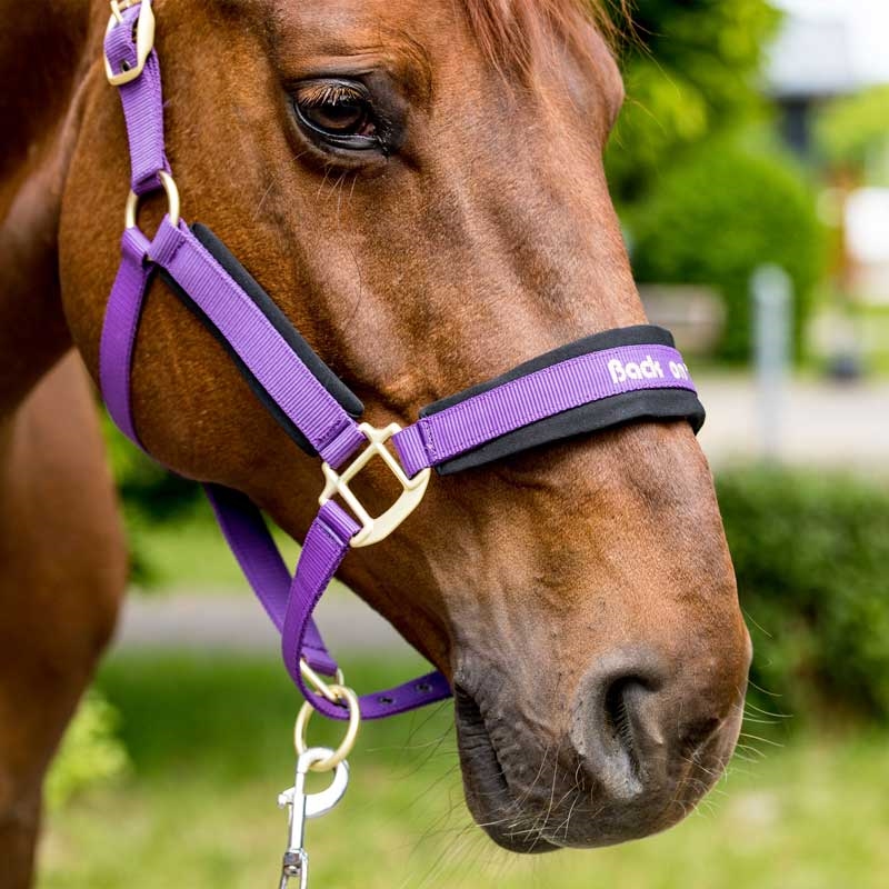 Back on Track grime "Werano" - lilla