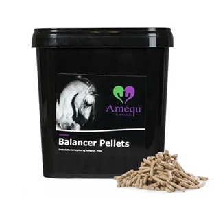 Dangro Amequ Balancer Pellets 3,5 kg.
