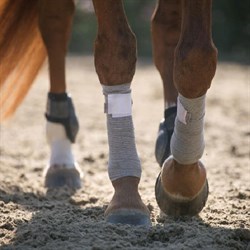 Incrediwear Equine Circulation bandages - bandager