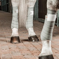 Incrediwear Equine Circulation bandages - bandager