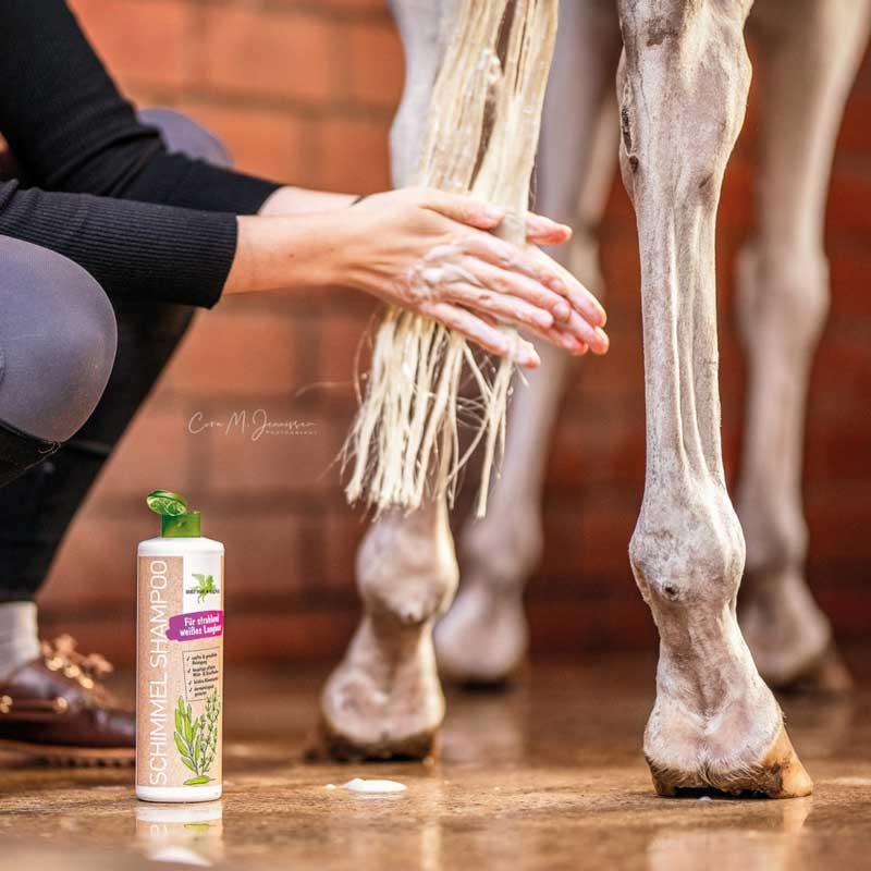 Bense & Eicke Skimmel Shampoo m. urter 500 ml.