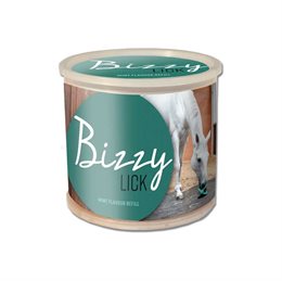 Bizzy Ball sliksten 1kg. - mint