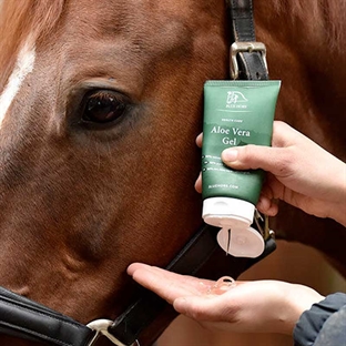 Blue Hors aloe Vera gel på hest