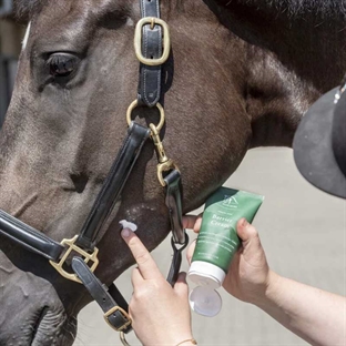 Blue Hors Barrier Cream smøres på hestehoved