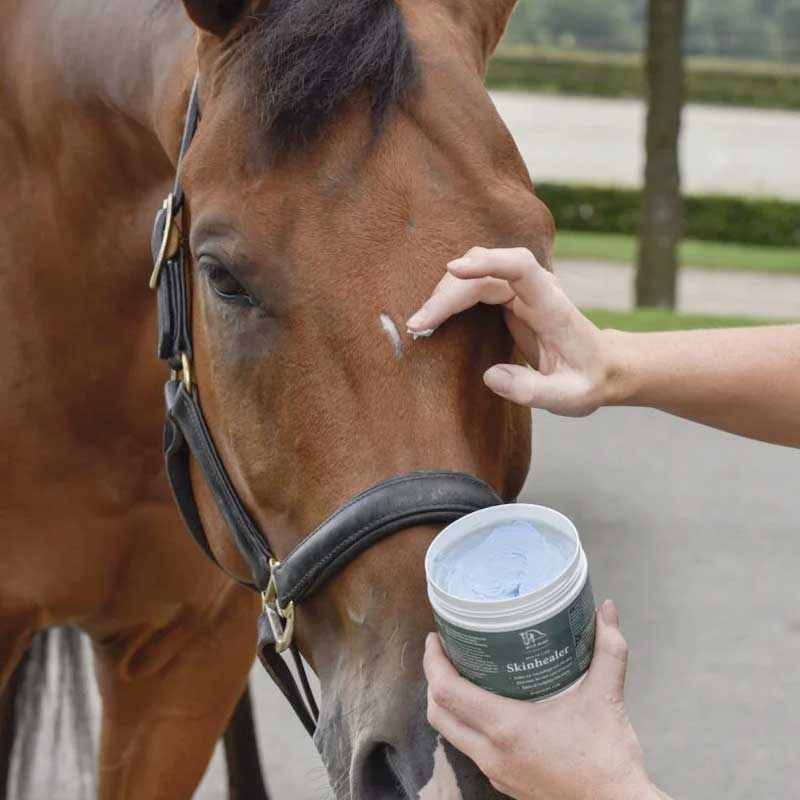 Blue Hors skinhealer på hestehoved