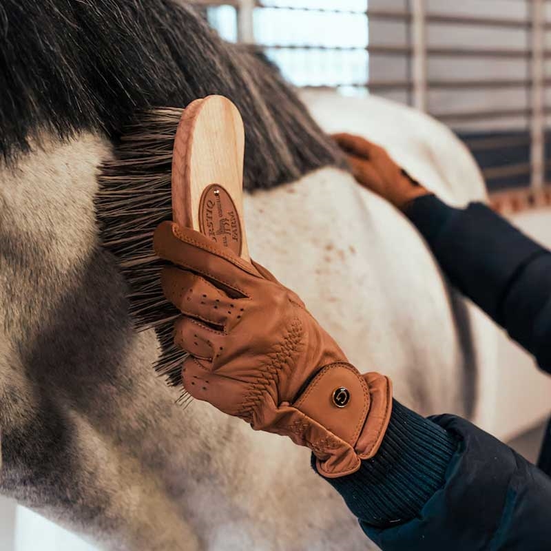Borstiq Farm bananbørste PP, hest børstes