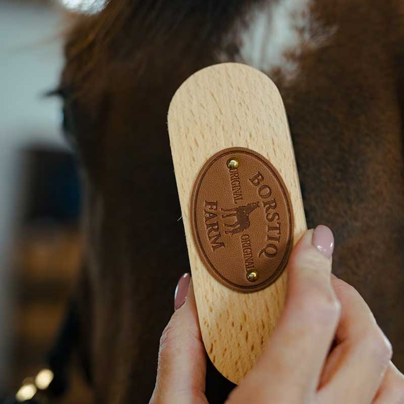 Borstiq farm hovedbørste på hest