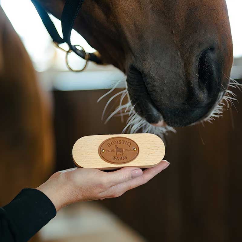 Borstiq Farm hovedbørste ved mule