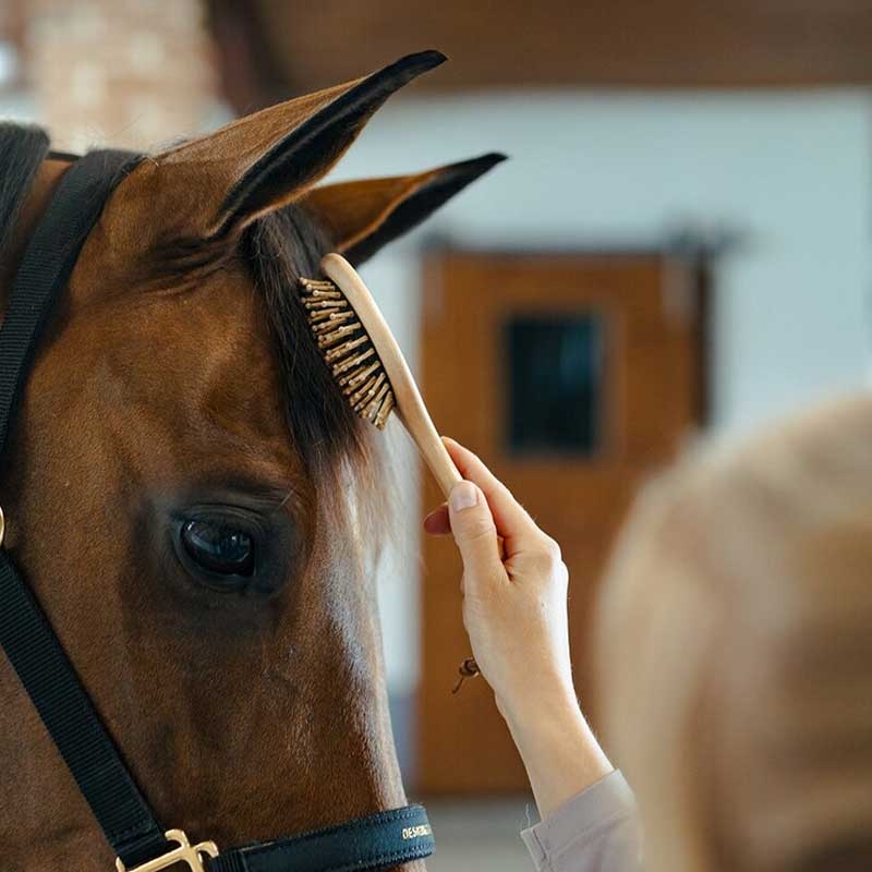 Borstiq Farm man hale børste rund man børstes igen