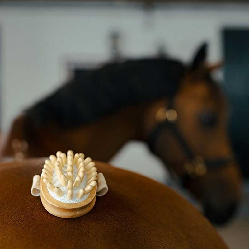 borstiw farm massagebørste ligger på hest