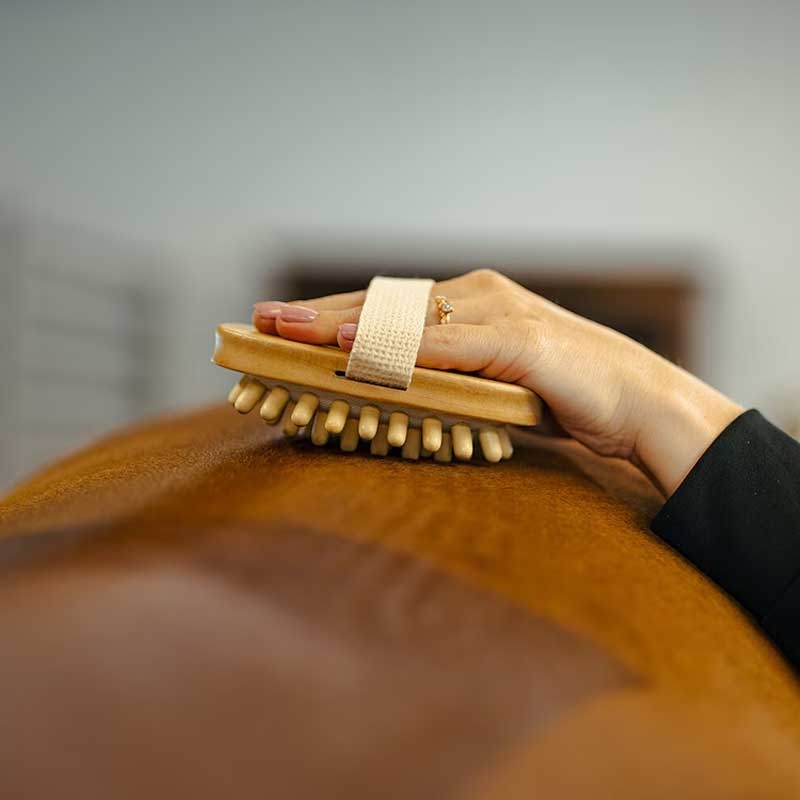 Borstiq farm massagebørste hest masseres