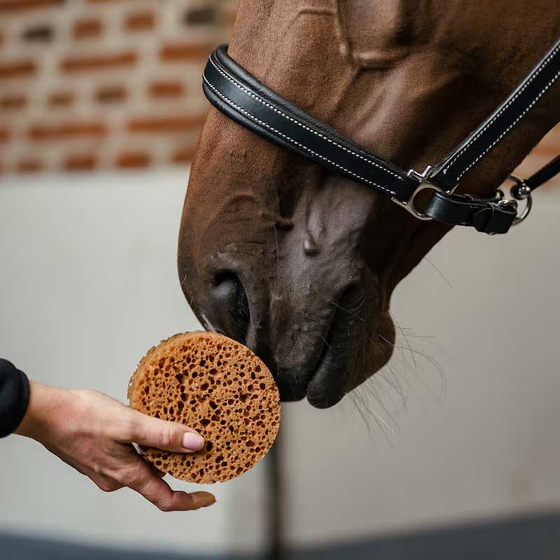 Borstiq Farm grooming svamp - rund