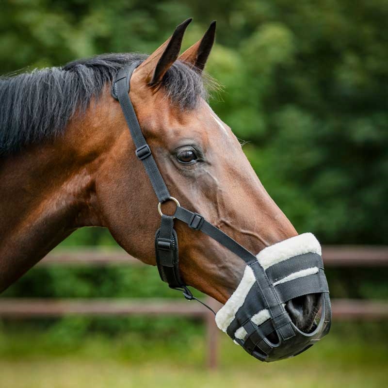 Horseguard mundkurv "Easy Breathe" m. plys