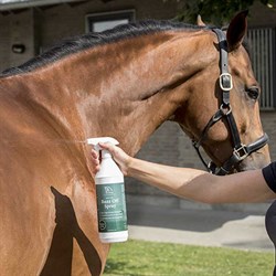 Buzz off fra Blue Hors sprays på hest