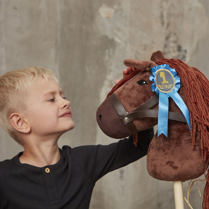 Blå rosette på kæphest med dreng