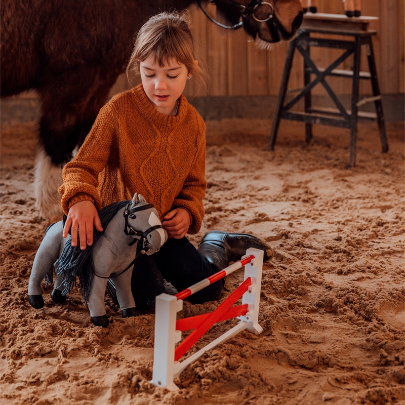 spring til legetøjspony 