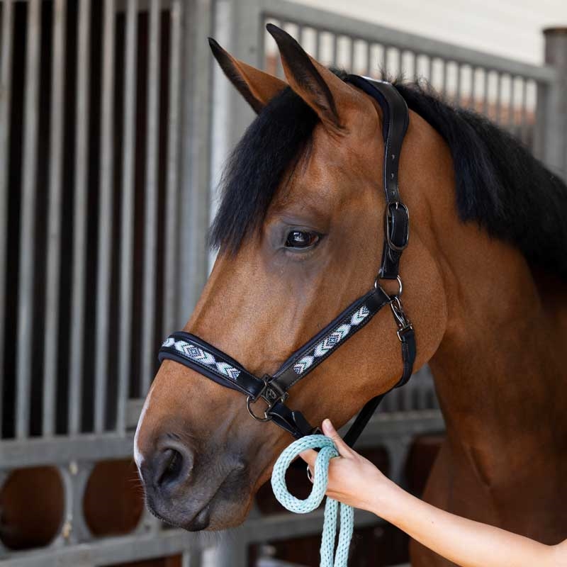 Catago lædergrime "Anamo" - sort